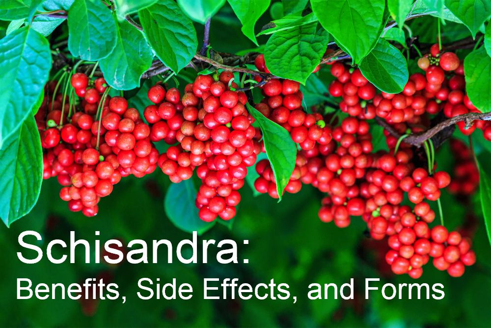 Schisandra: Benefits, Side Effects, and Forms