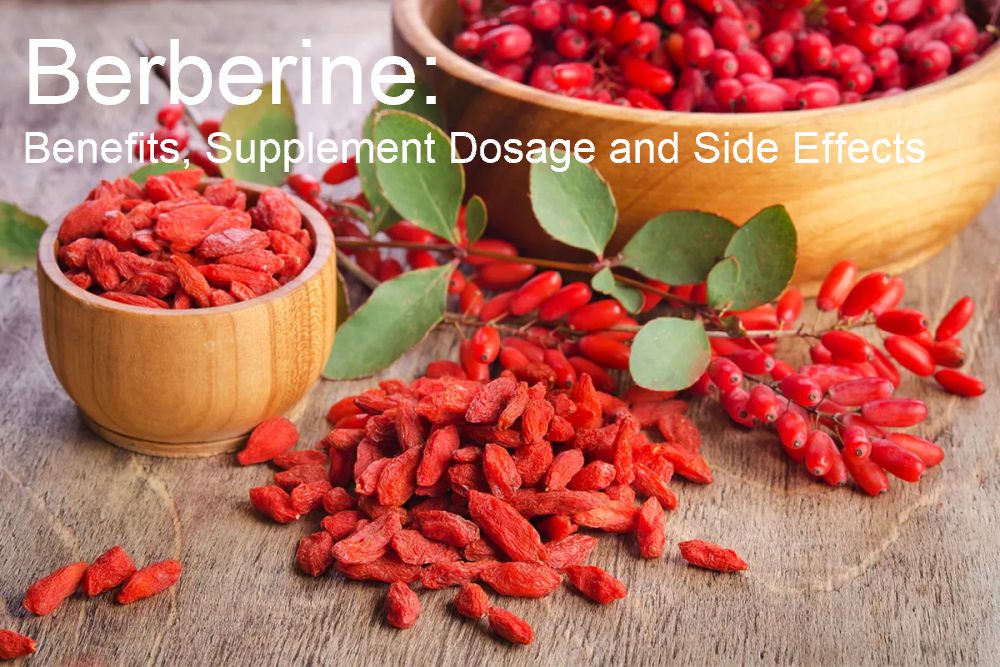 Berberine: Benefits, Supplement Dosage and Side Effects