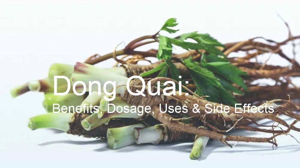 Dong Quai: Benefits, Dosage, Uses & Side Effects
