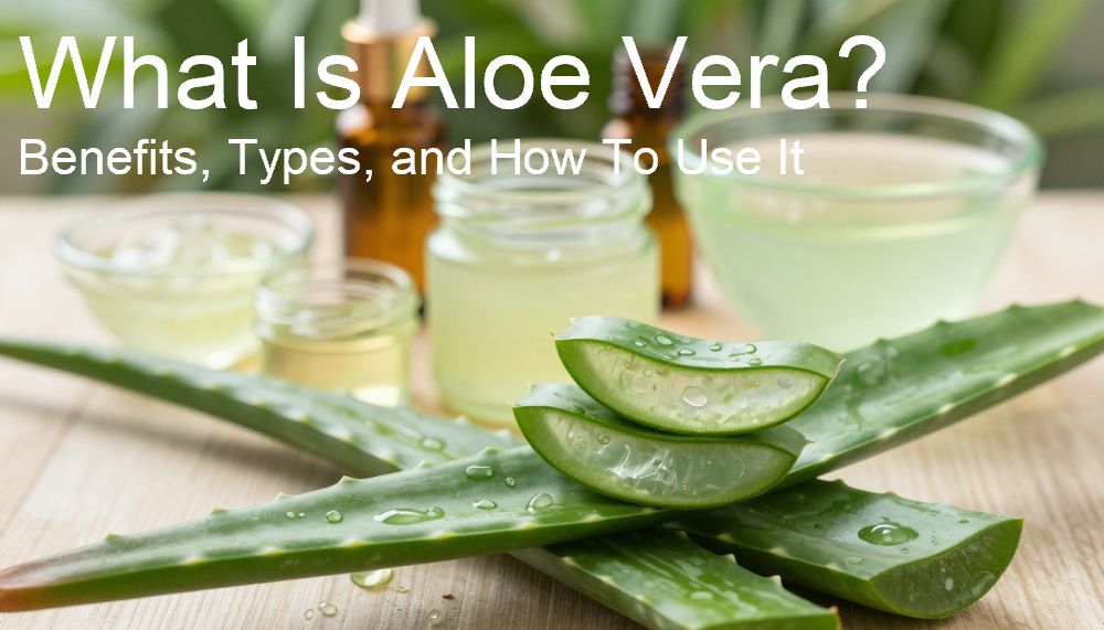 What Is Aloe Vera? Benefits, Types, and How To Use It