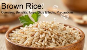 Brown Rice Use Brown Rice: Overview, Benefits, Uses, Side Effects, Precautions